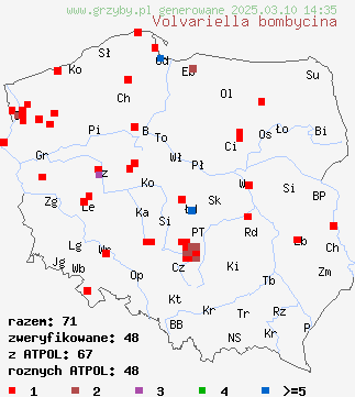 znaleziska Volvariella bombycina (pochwiak jedwabnikowy) na terenie Polski