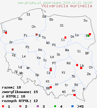 znaleziska Volvariella murinella (pochwiak myszaty) na terenie Polski