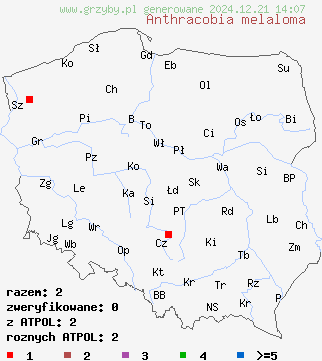 znaleziska Anthracobia melaloma na terenie Polski