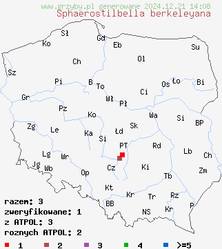 znaleziska Sphaerostilbella berkeleyana na terenie Polski