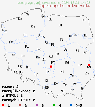 znaleziska Coprinopsis cothurnata na terenie Polski