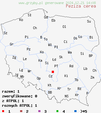 znaleziska Peziza cerea na terenie Polski