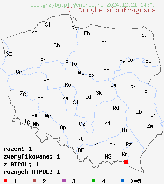 znaleziska Clitocybe albofragrans na terenie Polski