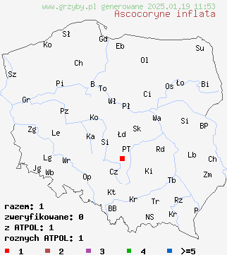 znaleziska Ascocoryne inflata (galaretnica rozdęta) na terenie Polski