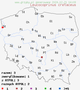 znaleziska Leucocoprinus cretaceus na terenie Polski