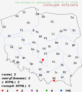 znaleziska Conocybe echinata (stożkówka jeżowata) na terenie Polski