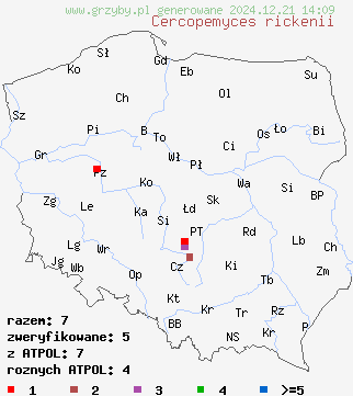 znaleziska Cercopemyces rickenii na terenie Polski