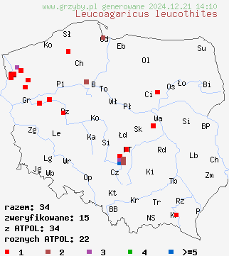 znaleziska Leucoagaricus leucothites (pieczareczka różowoblaszkowa) na terenie Polski