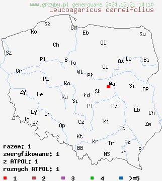 znaleziska Leucoagaricus carneifolius na terenie Polski