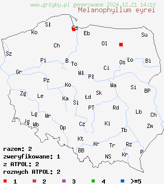 znaleziska Melanophyllum eyrei (ciemnoblaszek zielonoblaszkowy) na terenie Polski