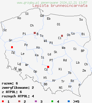 znaleziska Lepiota brunneoincarnata (czubajeczka brązowoczerwonawa) na terenie Polski