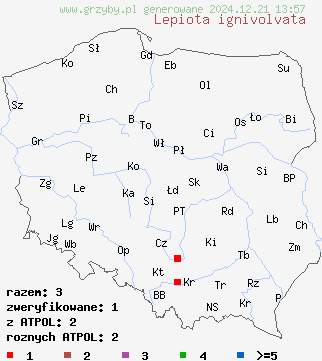 znaleziska Lepiota ignivolvata (czubajeczka czerwonopochwowa) na terenie Polski