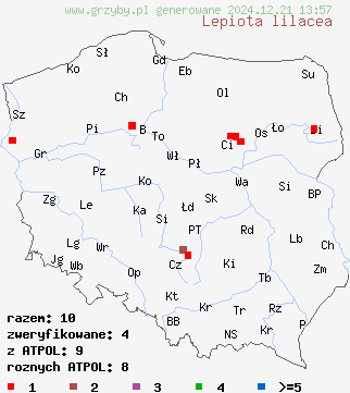 znaleziska Lepiota lilacea (czubajeczka liliowa) na terenie Polski