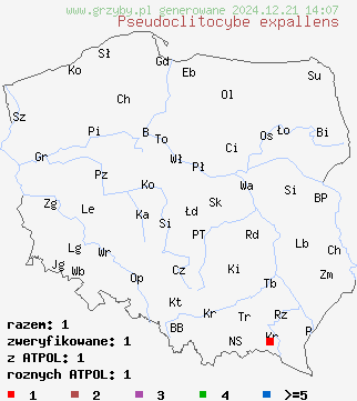 znaleziska Pseudoclitocybe expallens na terenie Polski