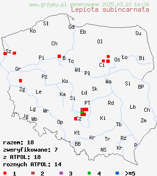 znaleziska Lepiota subincarnata (czubajeczka różowawa) na terenie Polski