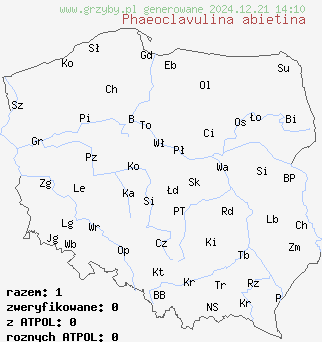 znaleziska Phaeoclavulina abietina (koralówka zielonawa) na terenie Polski