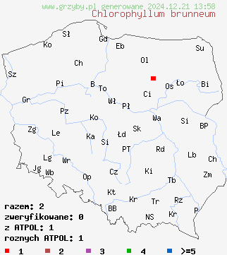 znaleziska Chlorophyllum brunneum (czubajnik ogrodowy) na terenie Polski