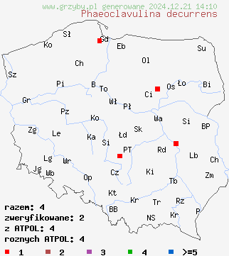 znaleziska Phaeoclavulina decurrens na terenie Polski