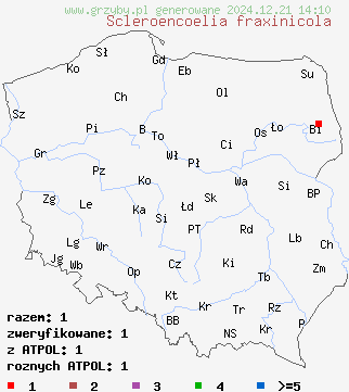 znaleziska Scleroencoelia fraxinicola (skleroorzechówka jesionowa) na terenie Polski