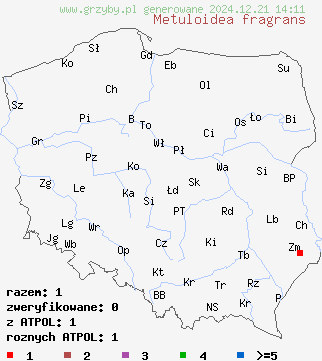 znaleziska Metuloidea fragrans na terenie Polski