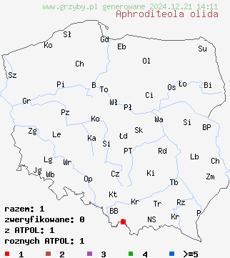 znaleziska Aphroditeola olida na terenie Polski