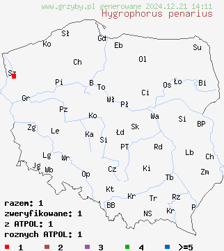 znaleziska Hygrophorus penarius (wodnicha gładka) na terenie Polski