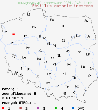 znaleziska Paxillus ammoniavirescens na terenie Polski