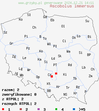 znaleziska Ascobolus immersus na terenie Polski