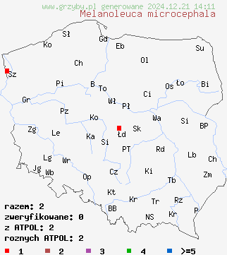 znaleziska Melanoleuca microcephala na terenie Polski