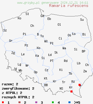 znaleziska Ramaria rufescens (koralówka czerwonawa) na terenie Polski