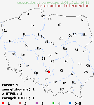 znaleziska Lasiobolus intermedius na terenie Polski