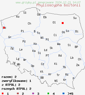 znaleziska Phylloscypha boltonii na terenie Polski