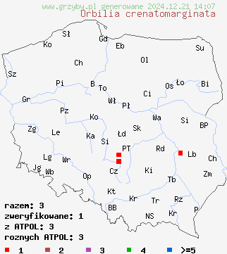 znaleziska Orbilia crenatomarginata na terenie Polski