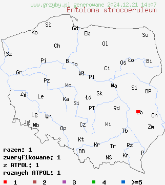 znaleziska Entoloma atrocoeruleum na terenie Polski