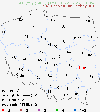 znaleziska Melanogaster ambiguus (czarnobrzuszek filcowaty) na terenie Polski