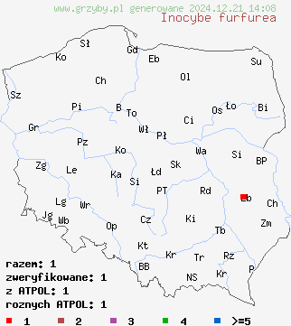 znaleziska Inocybe furfurea na terenie Polski