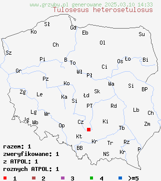 znaleziska Tulosesus heterosetulosus na terenie Polski