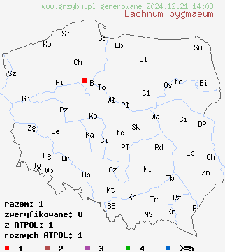 znaleziska Lachnum pygmaeum na terenie Polski