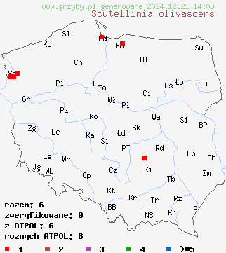 znaleziska Scutellinia olivascens na terenie Polski