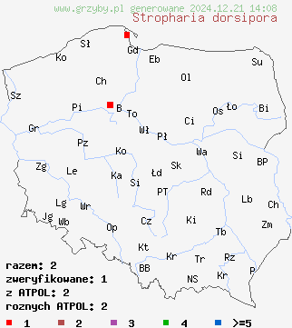 znaleziska Stropharia dorsipora na terenie Polski