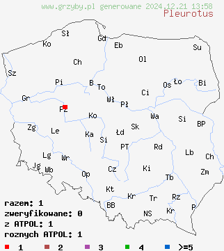 znaleziska Pleurotus (boczniak) na terenie Polski