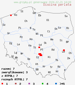 znaleziska Discina perlata na terenie Polski