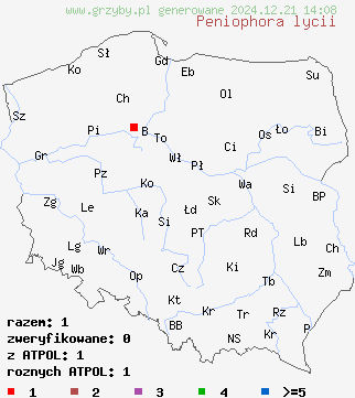 znaleziska Peniophora lycii (powłocznica kulistorozwierkowa) na terenie Polski