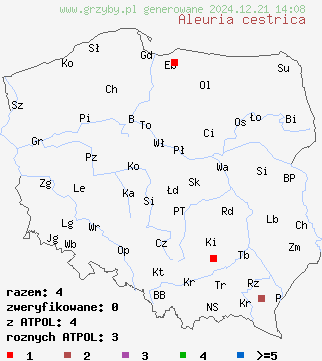 znaleziska Aleuria cestrica na terenie Polski