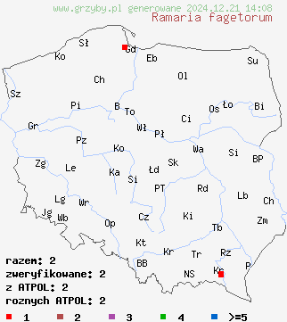 znaleziska Ramaria fagetorum na terenie Polski