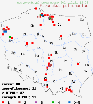 znaleziska Pleurotus pulmonarius (boczniak łyżkowaty) na terenie Polski