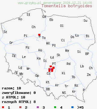 znaleziska Tomentella botryoides na terenie Polski