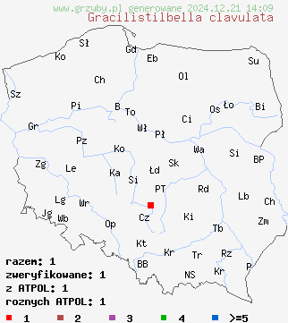 znaleziska Gracilistilbella clavulata na terenie Polski