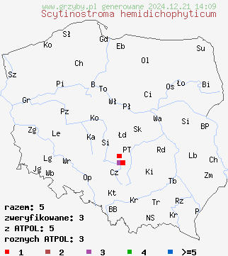 znaleziska Scytinostroma hemidichophyticum na terenie Polski