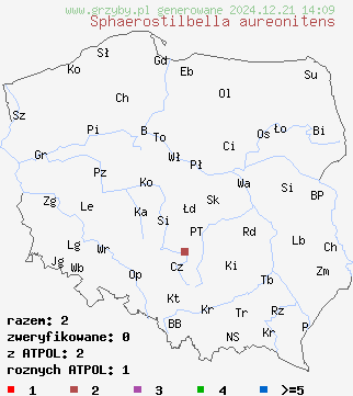 znaleziska Sphaerostilbella aureonitens na terenie Polski